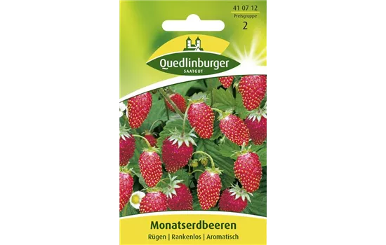Monats-Erdbeere-Samen 'Rügen'