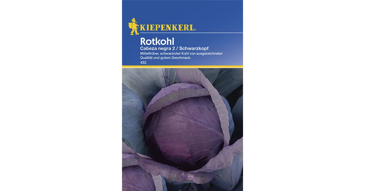 Rotkohl Cabeza Negra 2 Schwarzkopf Kiepenkerl Aus Freude Am