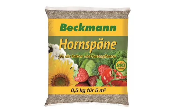 Hornspäne