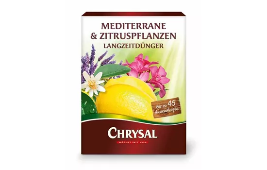 Zitruspflanzen Langzeitdünger 300g