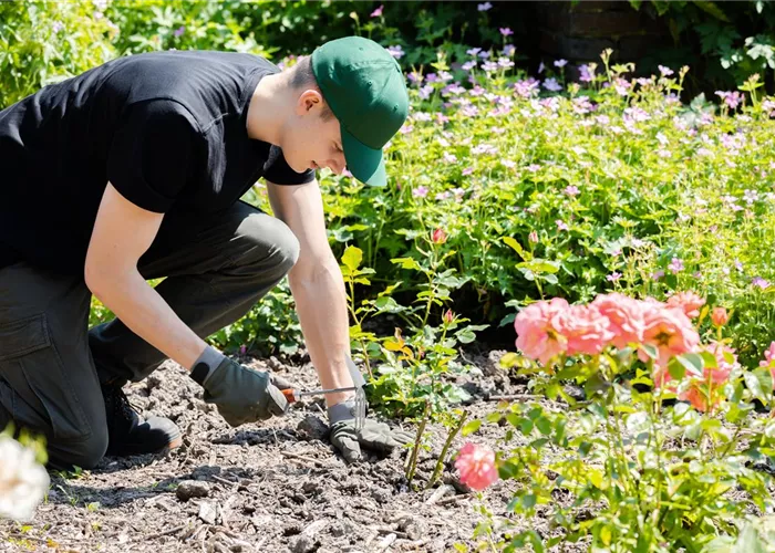 Was bringt der April dem Gärtner an Arbeit?