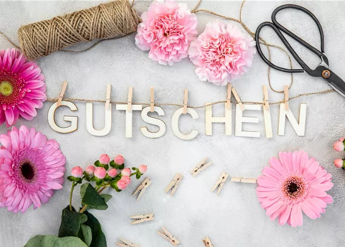 Gutscheine 