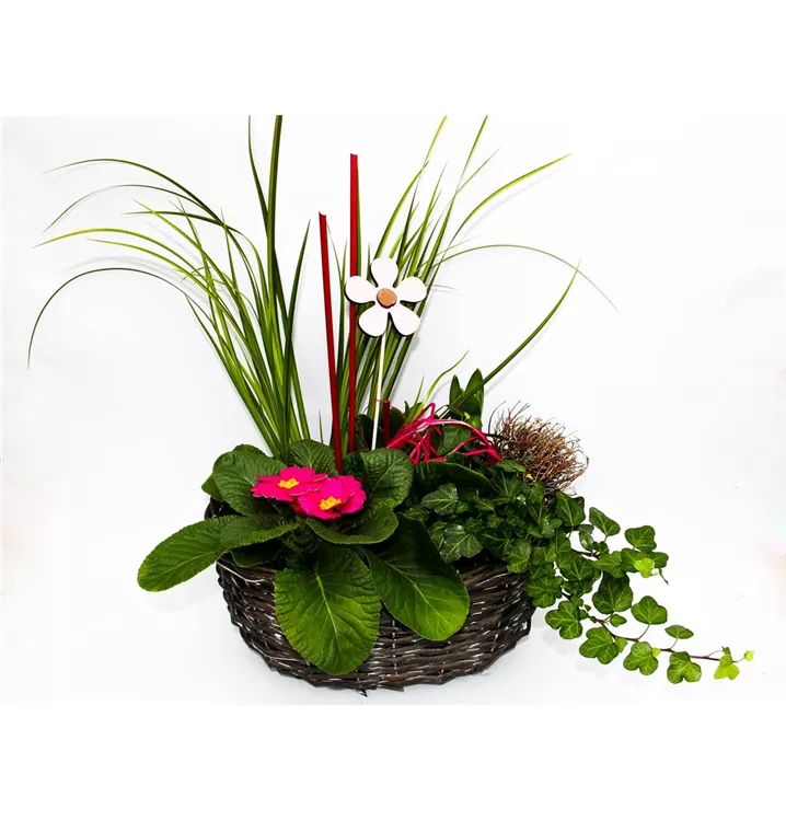 1A Garten Arrangement