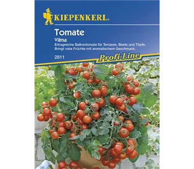 Tomaten (Balkontomaten) Vilma