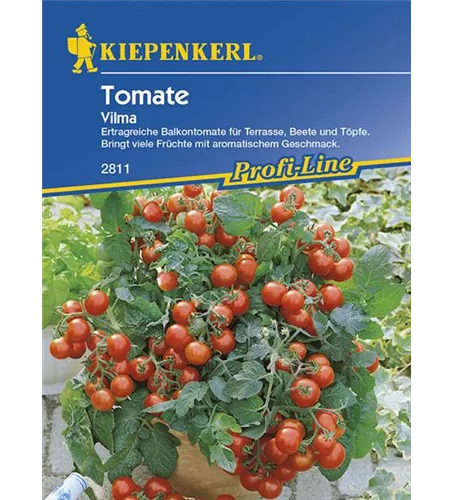 Tomaten (Balkontomaten) Vilma