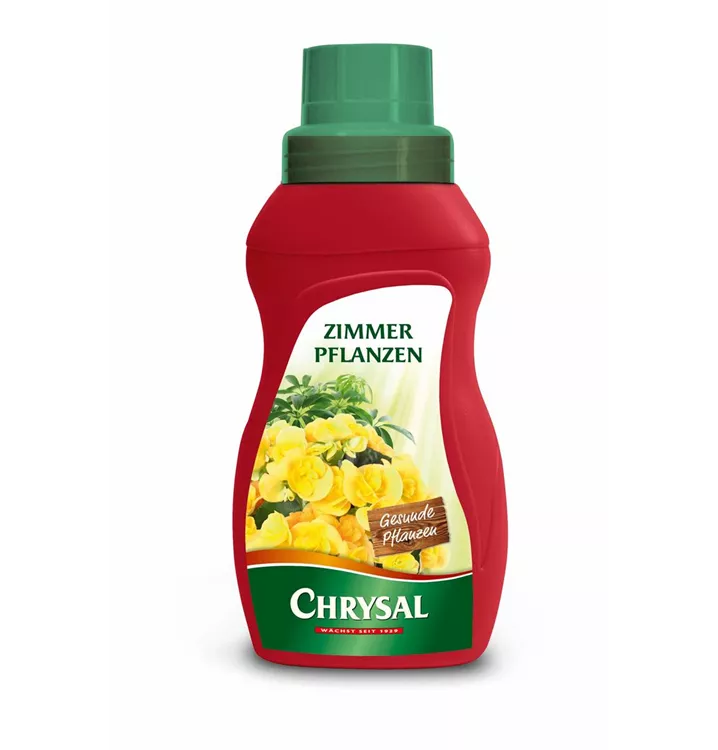 Chrysal