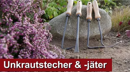 Kategorie - Unkrautstecher und jäter - IMG_6386.jpg