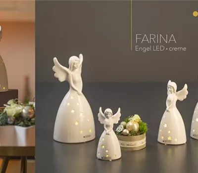 Engel Farina LED creme