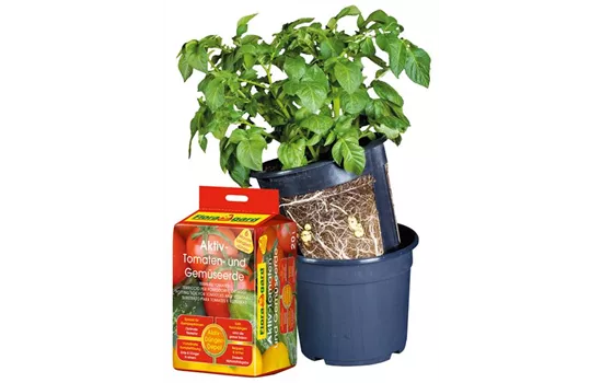 Floragard Potato Pot Set