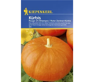 Kürbis Rouge vif dEtampes