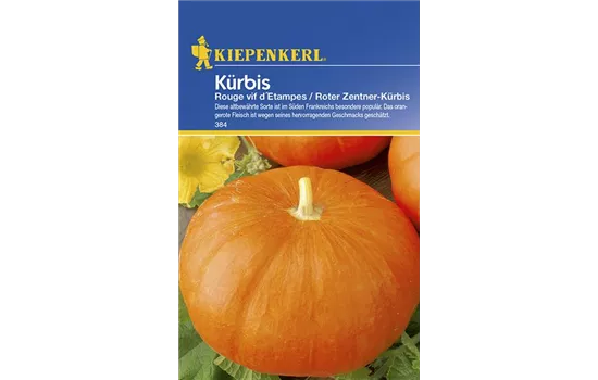 Kürbis Rouge vif dEtampes