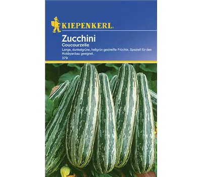 Zucchini Coucourzelle