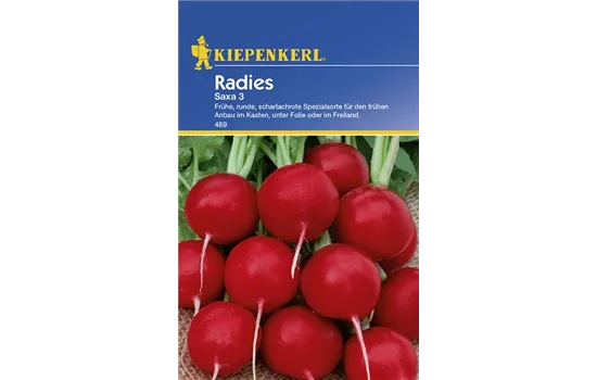 Radieschen Saxa 3