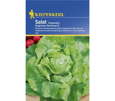 Kopfsalat Kagraner Sommer