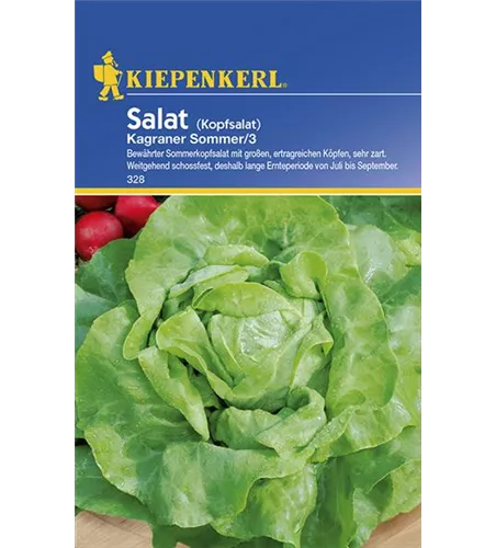 Kopfsalat Kagraner Sommer