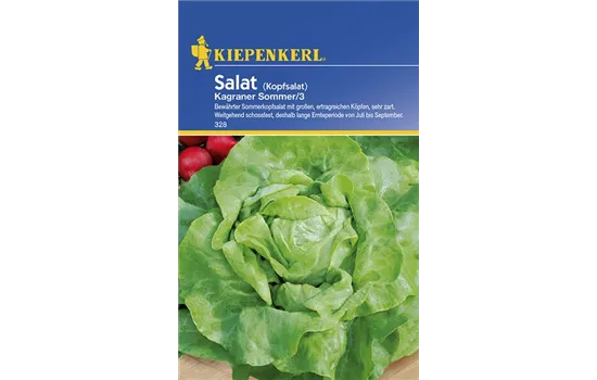 Kopfsalat Kagraner Sommer