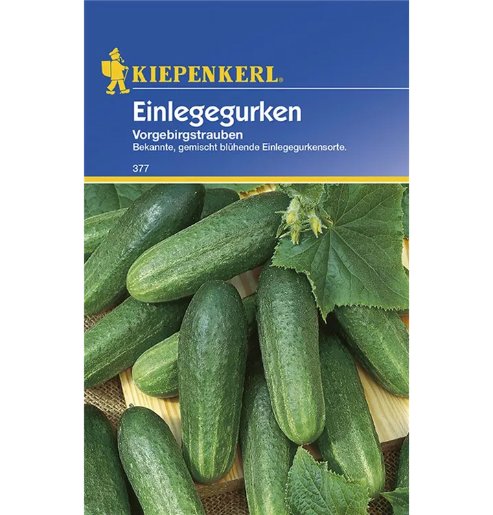 Kiepenkerl - aus Freude am Gärtnern