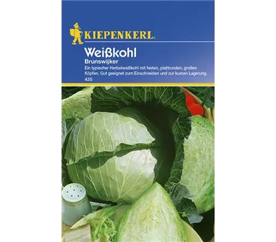 Weißkohl Brunswijker