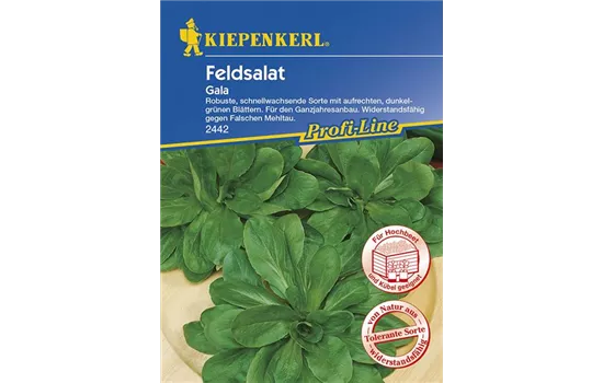 Feldsalat Gala