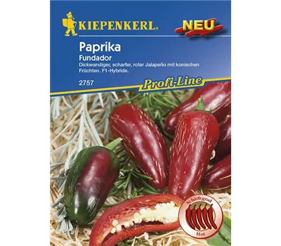 Paprika 'Fundador' - Kiepenkerl