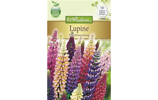 Lupinensamen 'Prachtmischung'