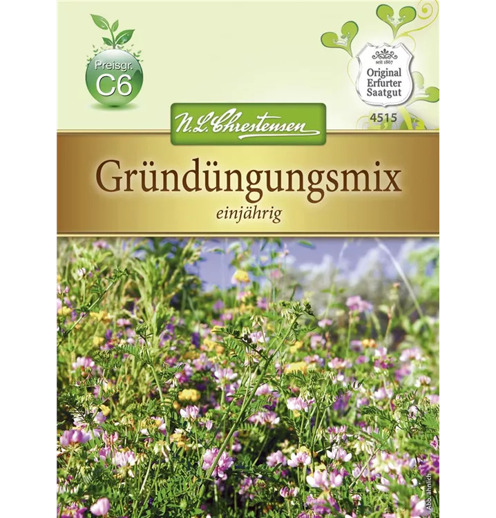 Gründungsmix Phacelia, Buchweizen, Alexandrinerklee, Perserklee, Serradella