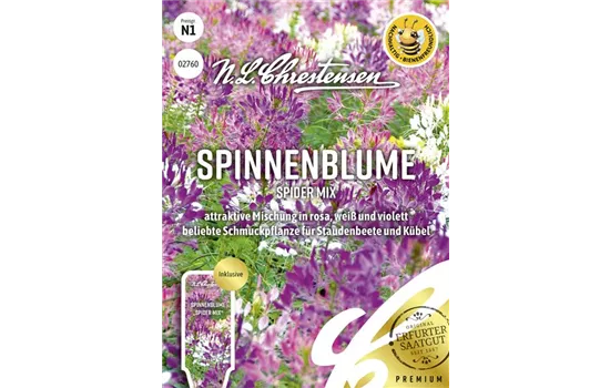 Spinnenblumensamen