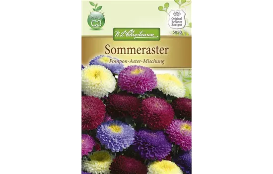 Gartenastersamen 'Pompon'