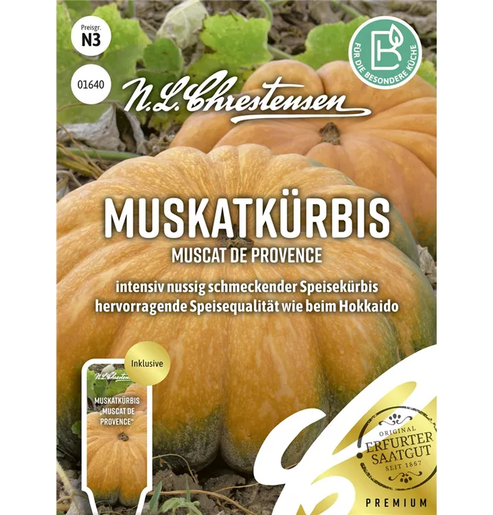 Cucurbita moschata 'Muscat de Provence'