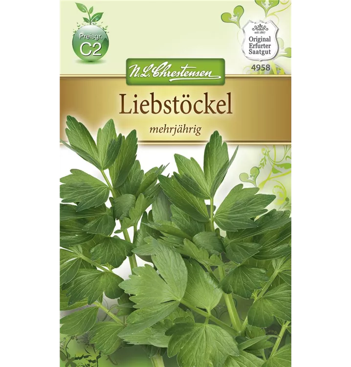 Levisticum officinale