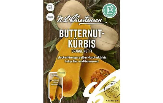 Kürbissamen 'Orange Nut'