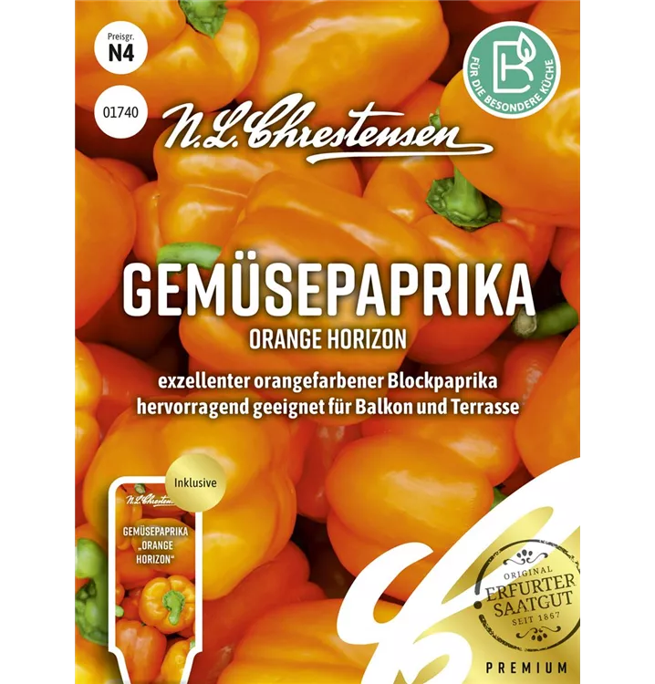 Capsicum annuum 'Orange Horizon'