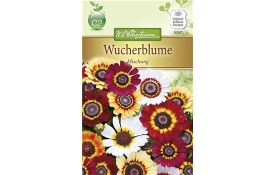 Wucherblumensamen