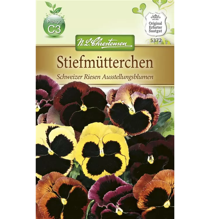 Viola x wittrockiana 'Schweizer Riesen Ausstellungsblume'