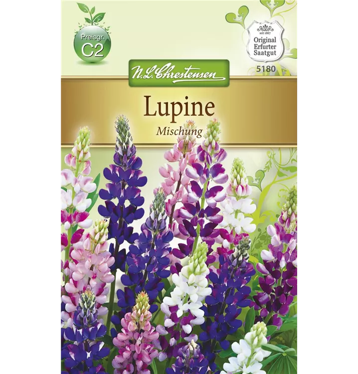 Lupinus hartwegii