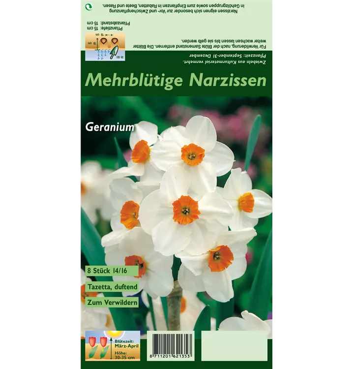 Narcissus tazetta 'Geranium'