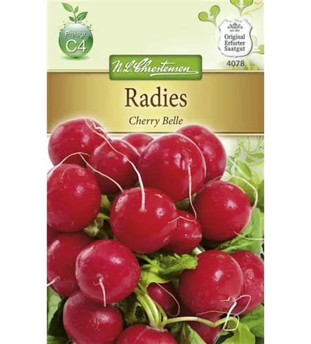 Radieschensamen 'Cherry Belle'