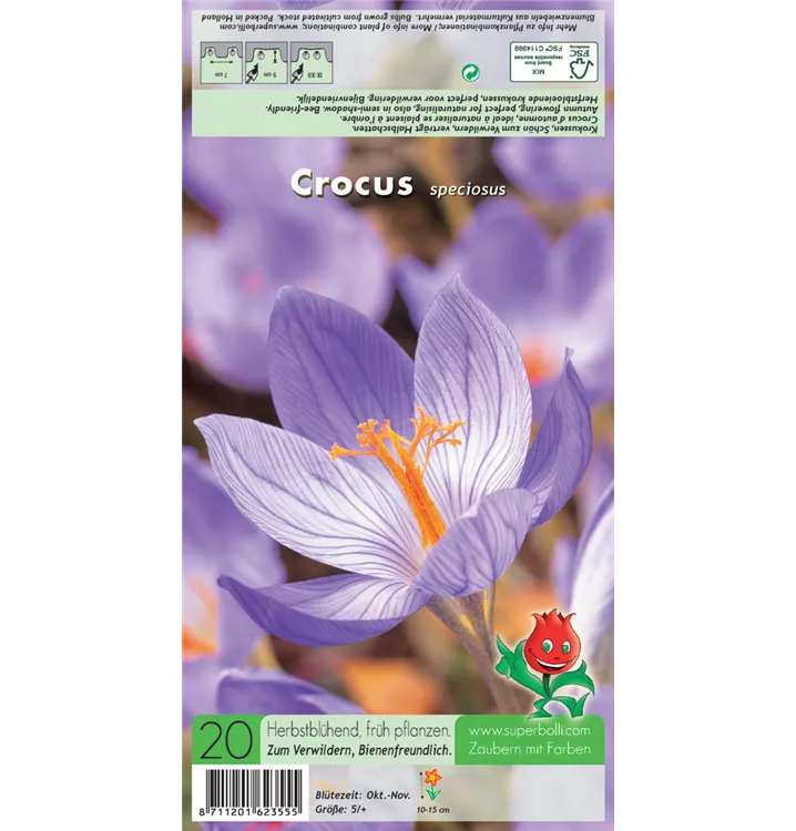 Crocus speciosus