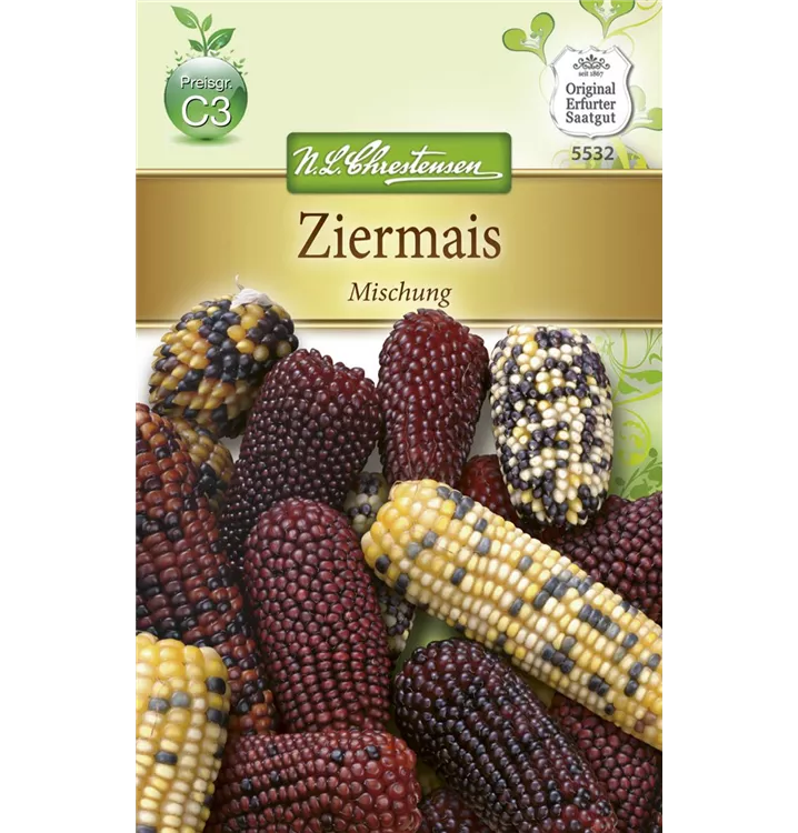 Zea mays, bunt