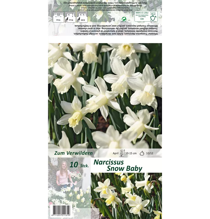 Narcissus 'Snow Baby'