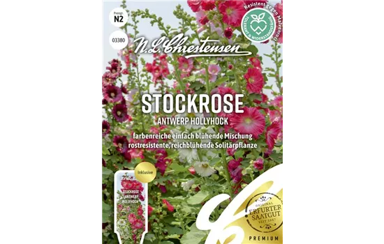 Stockrosensamen 'Antwerp Hollyhock'