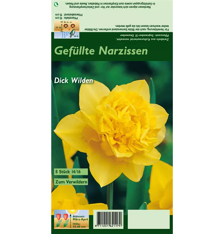 Narcissus 'Dick Wilden'