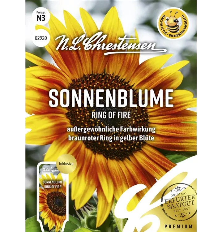 Helianthus annuus 'Ring of Fire'