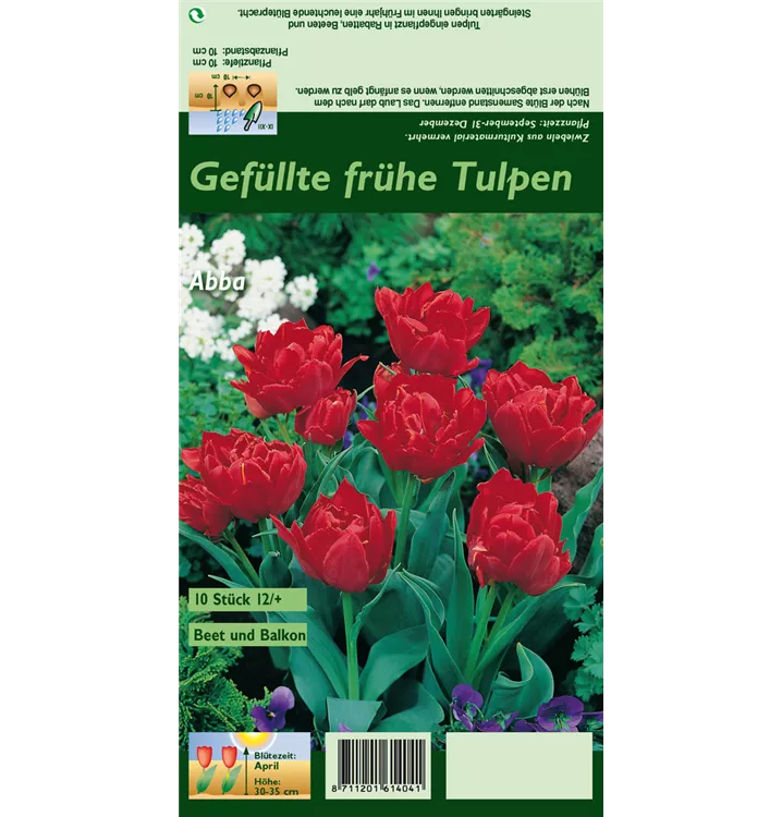 Tulipa 'Abba'