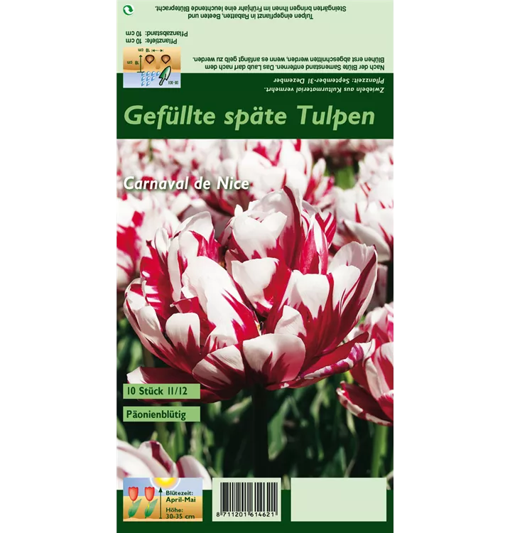 Tulipa 'Carnaval de Nice'