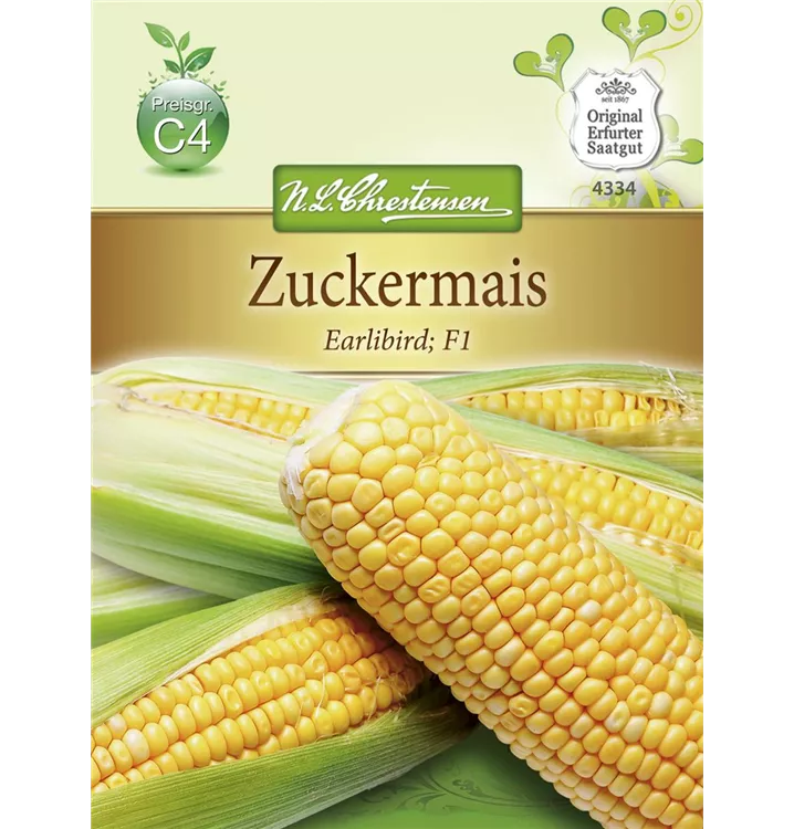 Zea mays 'Earlibird'