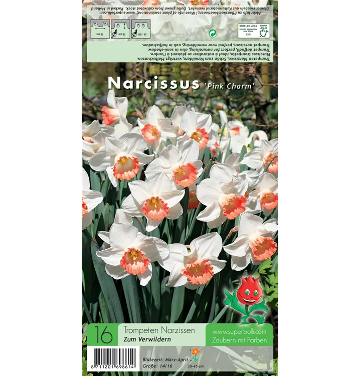 Narcissus 'Pink Charm'