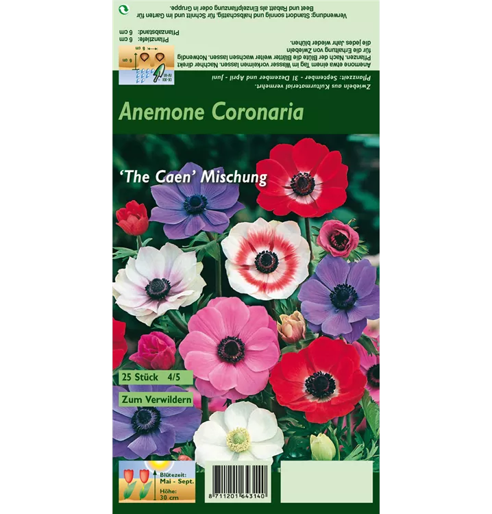 Anemone coronaria 'De Caen'