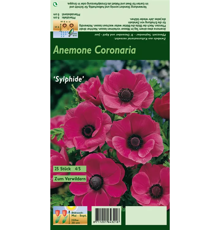 Anemone coronaria 'Sylphide'