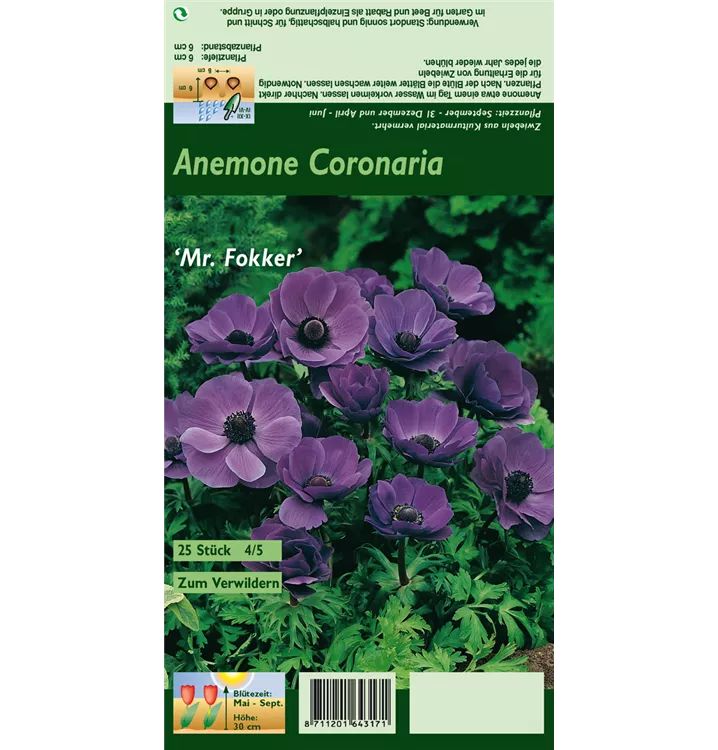 Anemone coronaria 'De Caen Mr. Fokker'